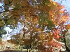 醍醐寺(京都府)