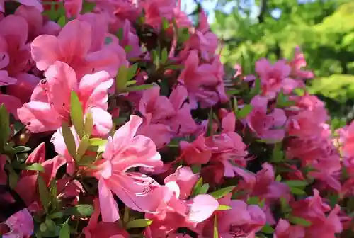 観音寺（山崎聖天）(京都府)