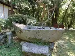 治田神社の手水