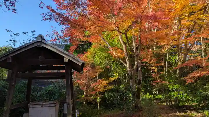 常照寺(京都府)