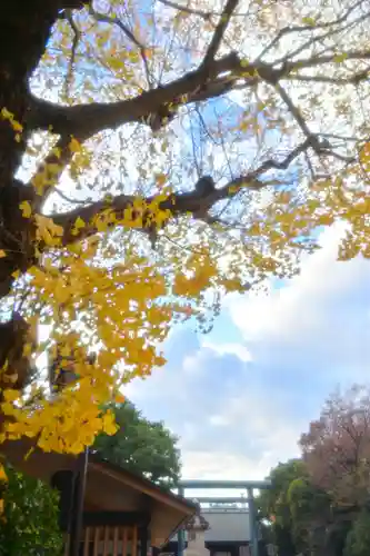 靖國神社(東京都)