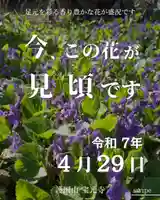 宝光寺(北海道)