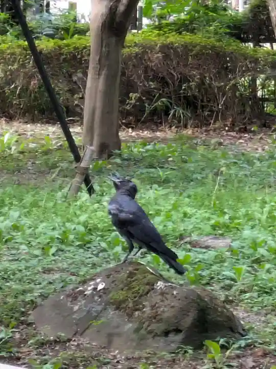 淨眞寺(東京都)