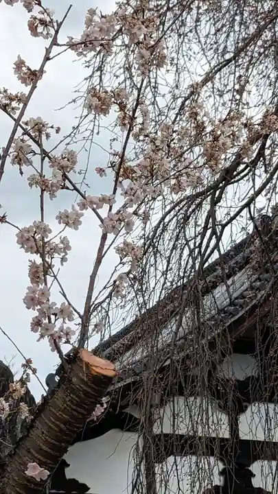 満願寺(京都府)