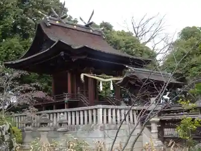 阿智神社の本殿・本堂