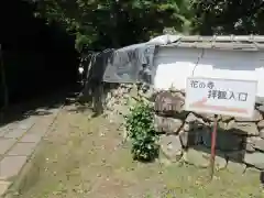 勝持寺（花の寺）の建物その他