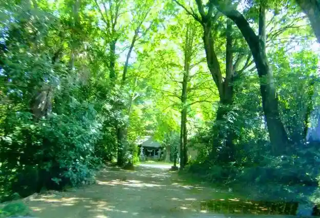 子安神社の自然