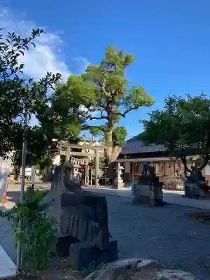 龍ケ崎八坂神社(茨城県)