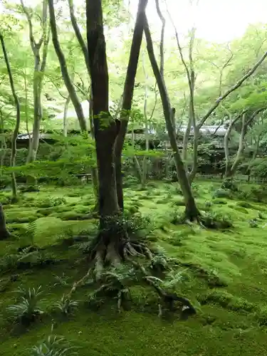 祇王寺(京都府)