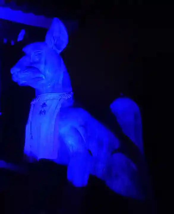 豊川閣 妙厳寺の狛犬