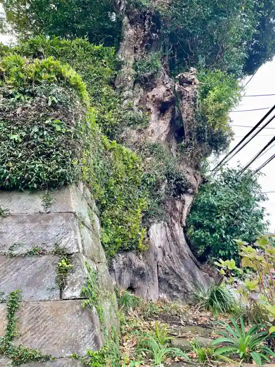 長壽寺(長寿寺)(神奈川県)