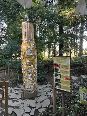 下野 星宮神社の体験その他