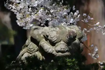 高司神社〜むすびの神の鎮まる社〜の狛犬