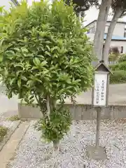 大野神社の庭園