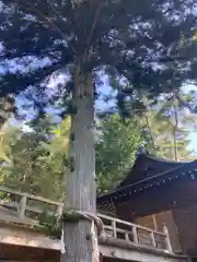 身曾岐神社(山梨県)