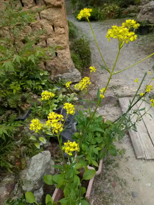 長楽寺(静岡県)