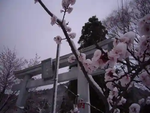 示現神社の鳥居