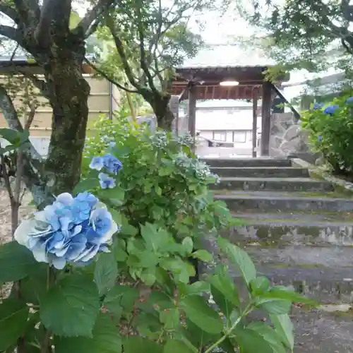 祥雲寺の景色