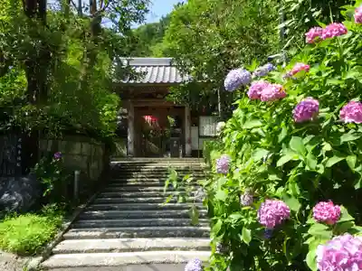 岩殿寺の山門・神門