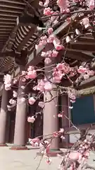 東長寺の建物その他