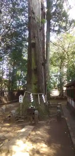 一言主神社の自然