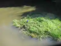 稱名寺(神奈川県)