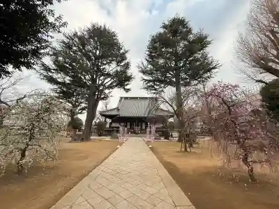 寛永寺(根本中堂)(東京都)