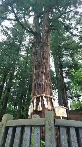 諏訪大社下社春宮のその他建物