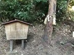 高瀧神社(千葉県)