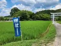 木梨神社の周辺