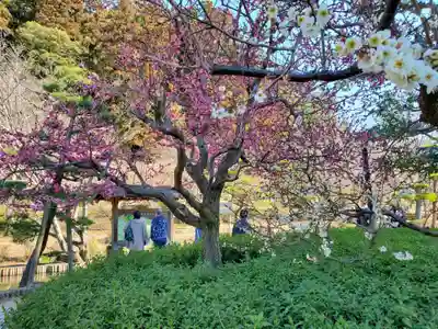 常磐神社(茨城県)