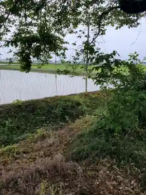 近津神社の周辺