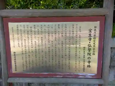 弘誓院の{uncategorized: "未分類", other: "その他", undefined: "問題あり", building: "その他建物", grave: "お墓", sacred_gate: "鳥居", guardian: "狛犬", statue: "像", buddha: "仏像", history: "歴史", nature: "自然", garden: "庭園", animal: "動物", pagoda: "塔", temizu: "手水舎", mountain_gate: "山門・神門", sanctuary: "本殿・本堂", subordinate: "末社・摂社", art: "芸術", scenery: "景色", jizo: "地蔵", ema: "絵馬", goshuin: "御朱印", omikuji: "おみくじ", items: "授与品その他", amulet: "お守り", goshuincho: "御朱印帳", eats: "食事", festival: "お祭り", votive_dance: "神楽", shichigosan: "七五三参", wedding: "結婚式", experience: "体験その他", initially: "初詣", around: "周辺", anti_infection: "感染症対策"}