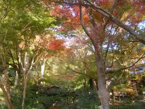 覚園寺の庭園