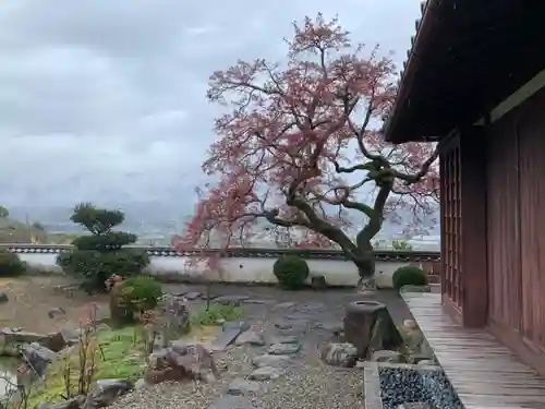 勝利寺の庭園