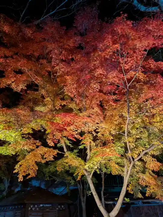 宝登山神社(埼玉県)