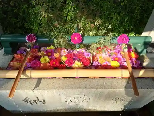 伊和志津神社(兵庫県)