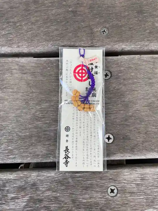 長谷寺(神奈川県)