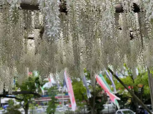 白旗神社(神奈川県)