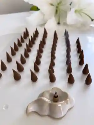 普元寺の体験その他