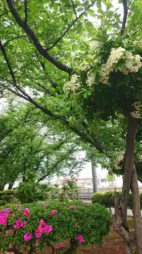 神明社（国府宮神明社）の自然
