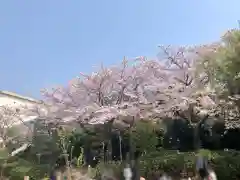 おりひめ神社の自然