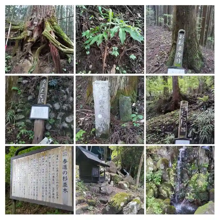 武蔵御嶽神社の周辺