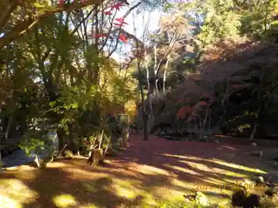 賀茂別雷神社（上賀茂神社）の周辺