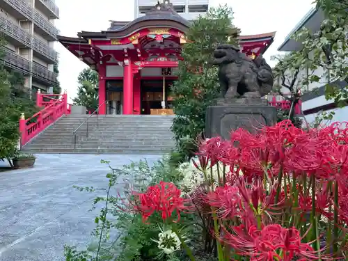 成子天神社の本殿・本堂