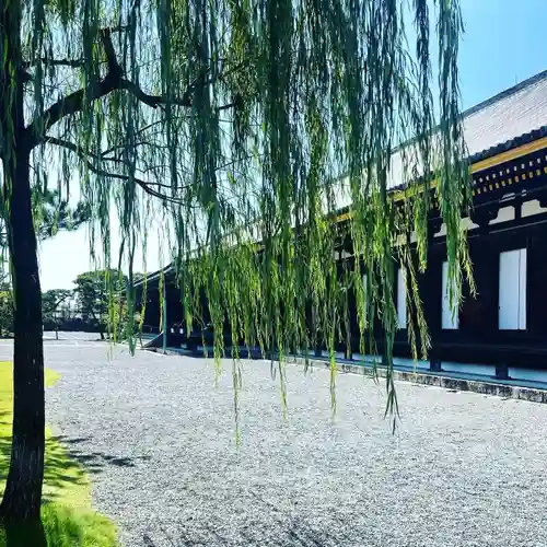 蓮華王院（三十三間堂）のその他建物