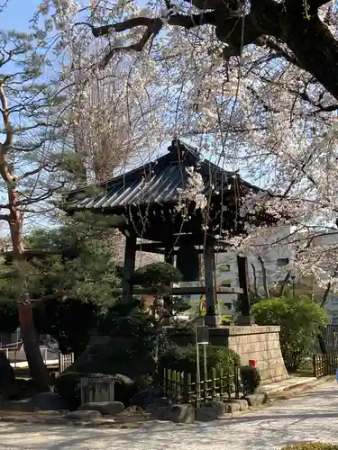 豪徳寺のその他建物