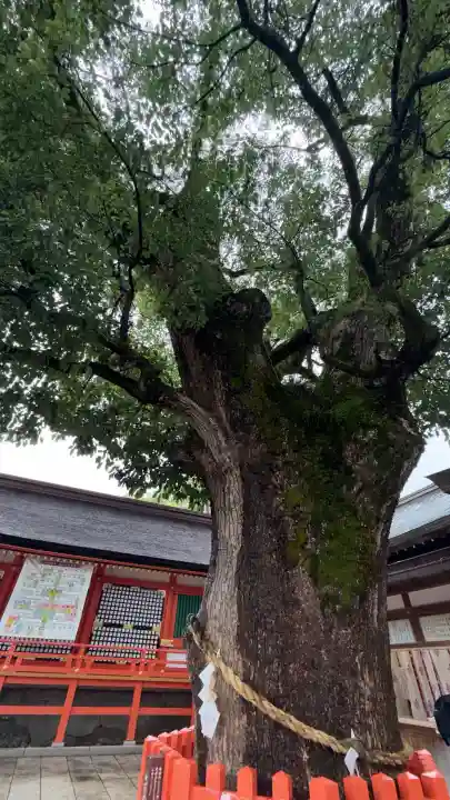 宇佐神宮(大分県)
