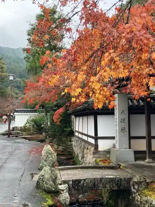 天授庵(京都府)