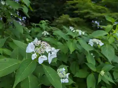  智積院(京都府)